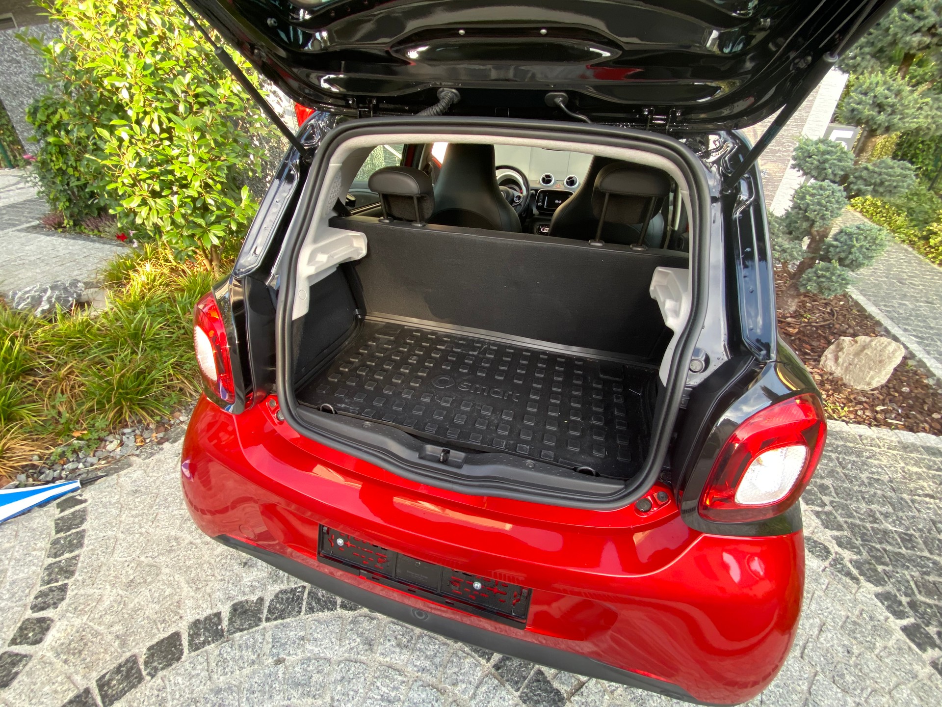 SMART forfour EQ pulse-image-4
