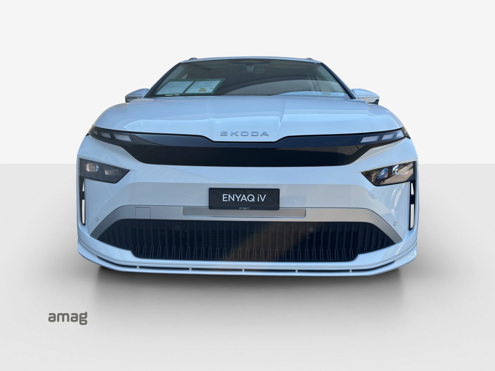 SKODA Enyaq 85x Dynamic 4x4-image-6