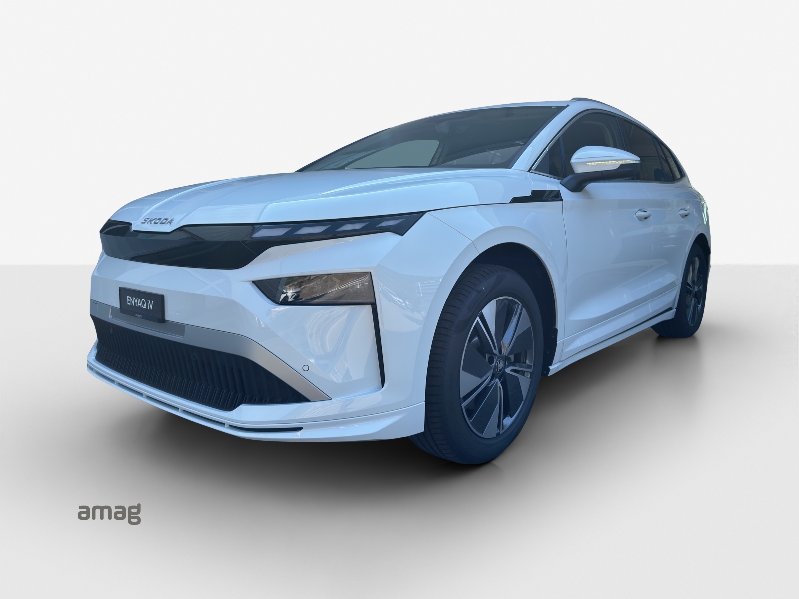 SKODA Enyaq 85x Dynamic 4x4-image-0