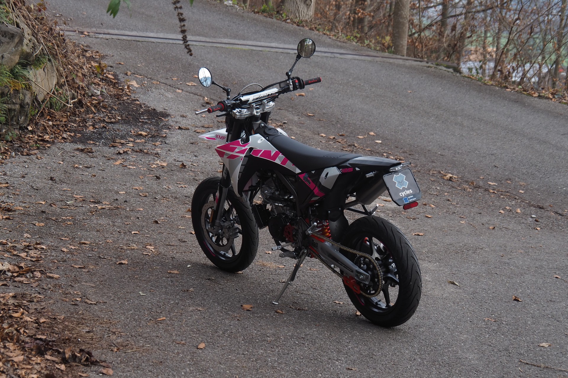 FANTIC Pink Edition-image-10