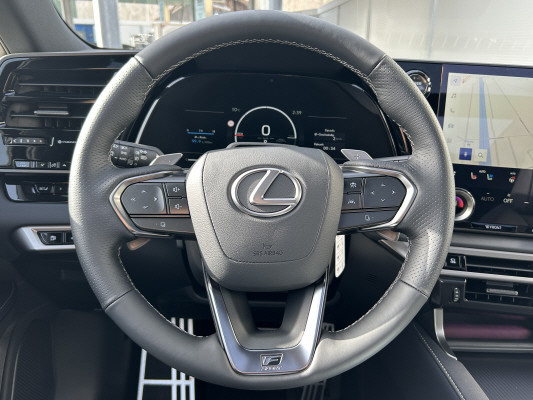 LEXUS RX 500h F Sport AWD-image-8