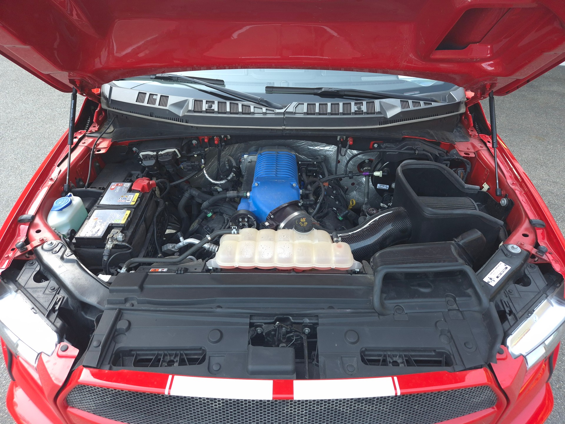 FORD F-150 SHELBY-image-31