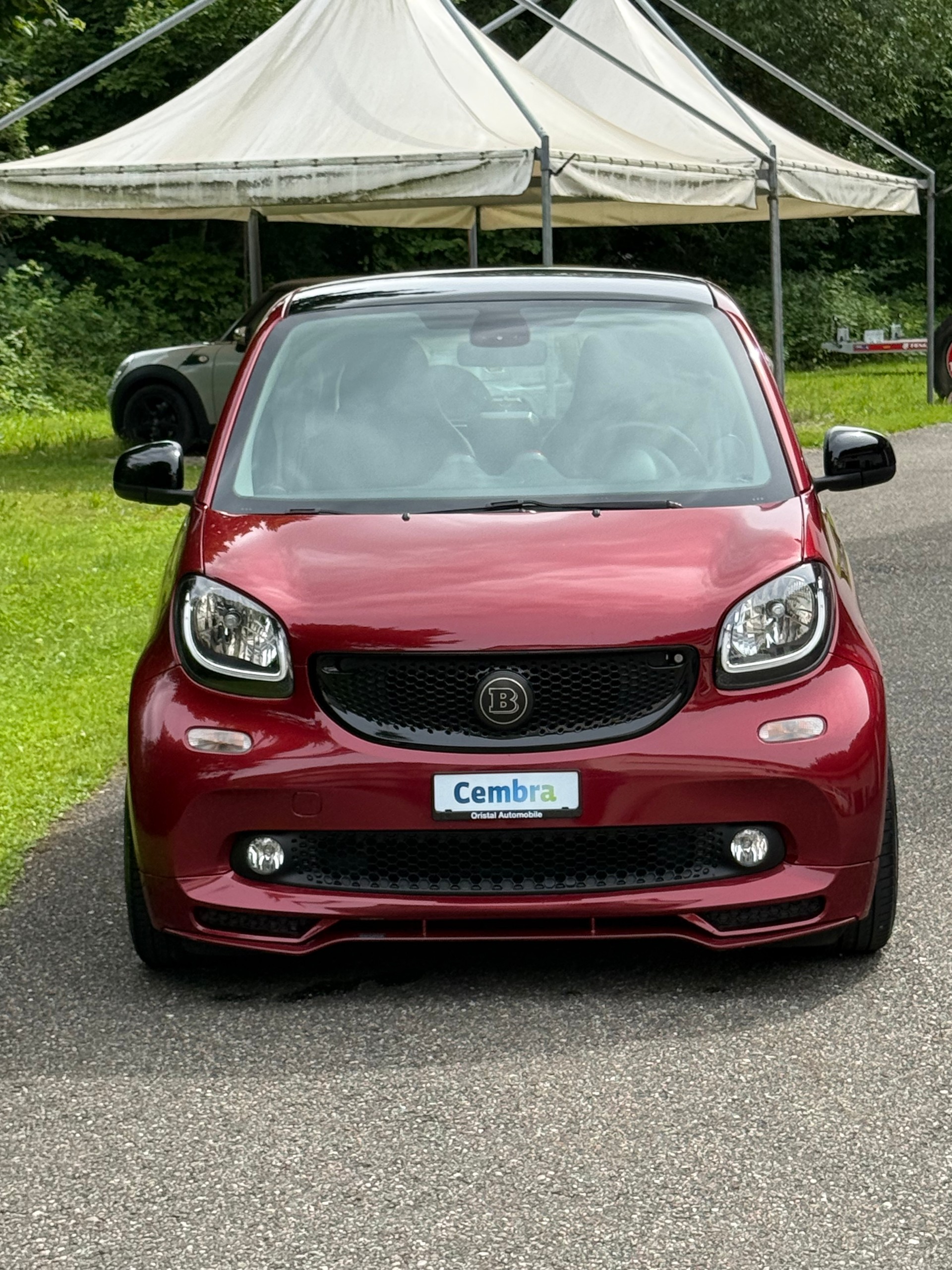 SMART Fortwo BRABUS STYLE TAILOR MADE-image-3