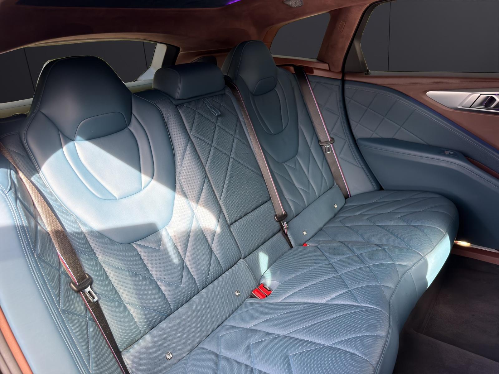BMW XM Plug-in Hybrid-image-13