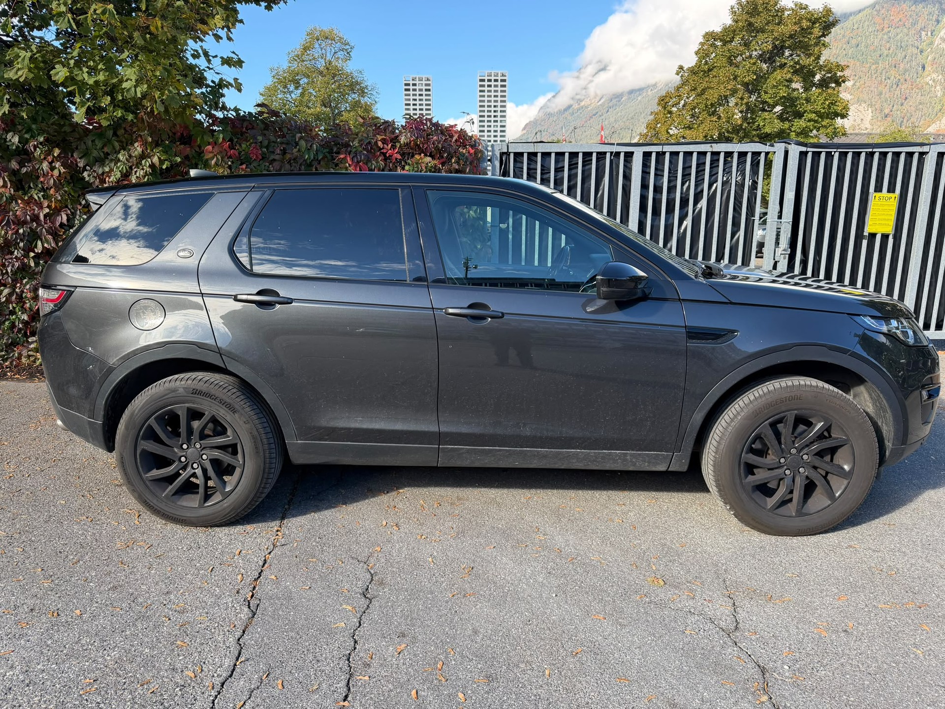 LAND ROVER Discovery Sport 2.0 TD4 SE AT9-image-4