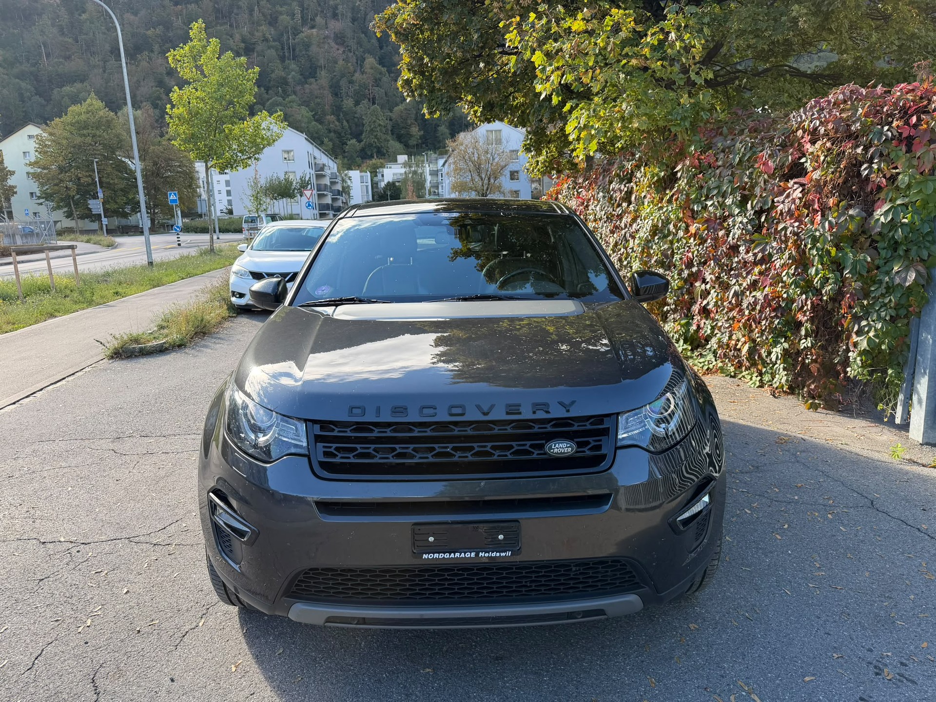 LAND ROVER Discovery Sport 2.0 TD4 SE AT9-image-5