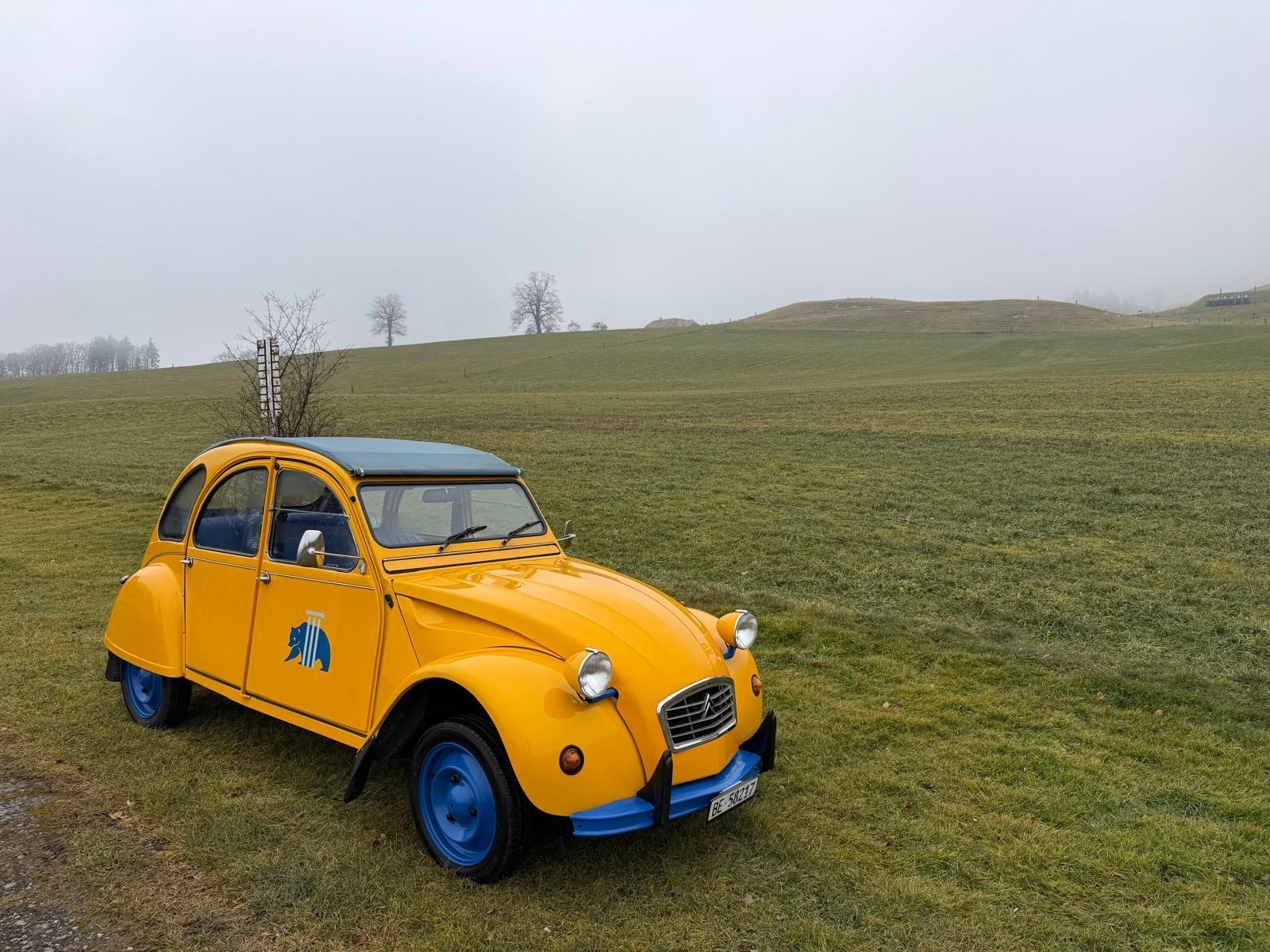 CITROEN 2CV6 Spécial (Club)-image-0