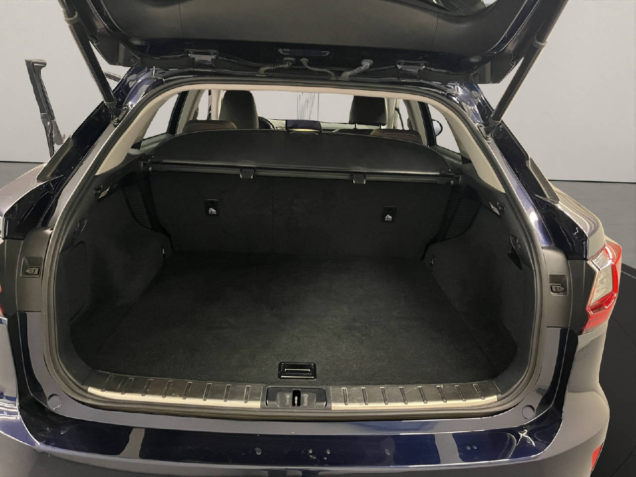 LEXUS RX 450h Comfort-image-13