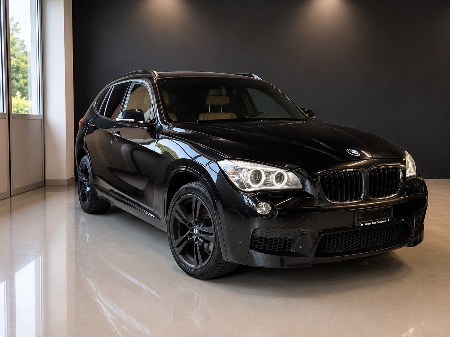 BMW X1 xDrive 25d Sport Line Steptronic-image-5