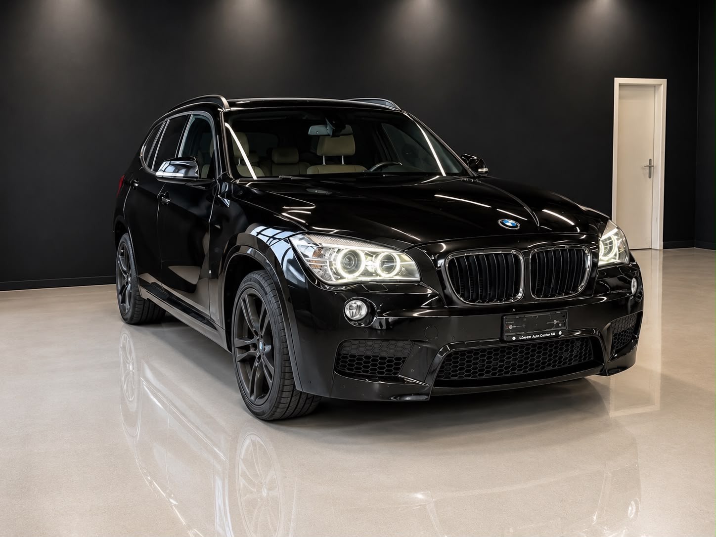 BMW X1 xDrive 25d Sport Line Steptronic