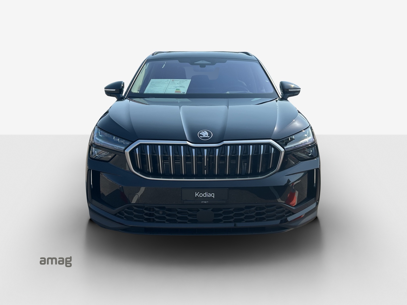 SKODA Kodiaq 2.0 TSI Selection 4x4-image-6