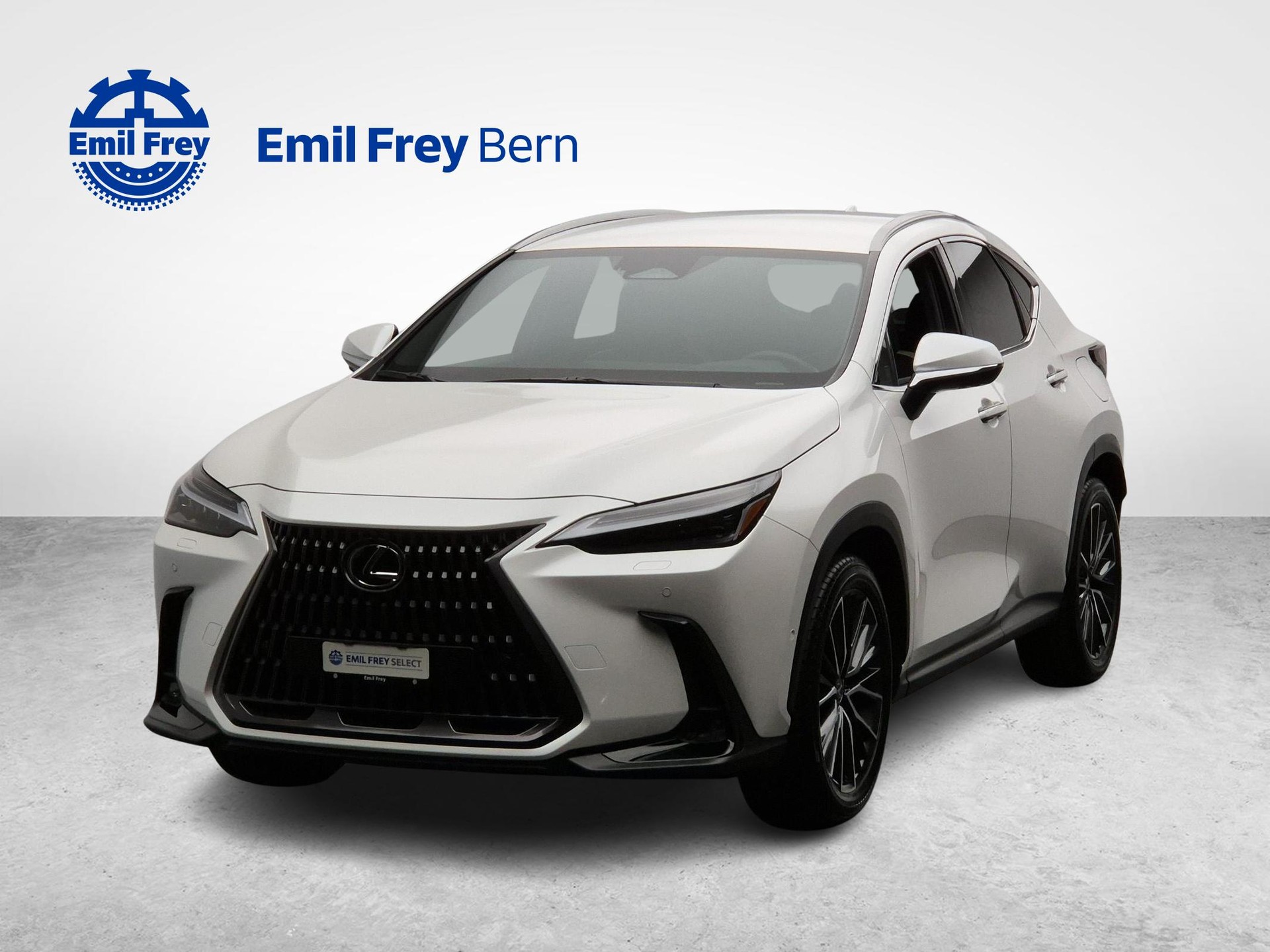 LEXUS NX 350h Excellence-image-0