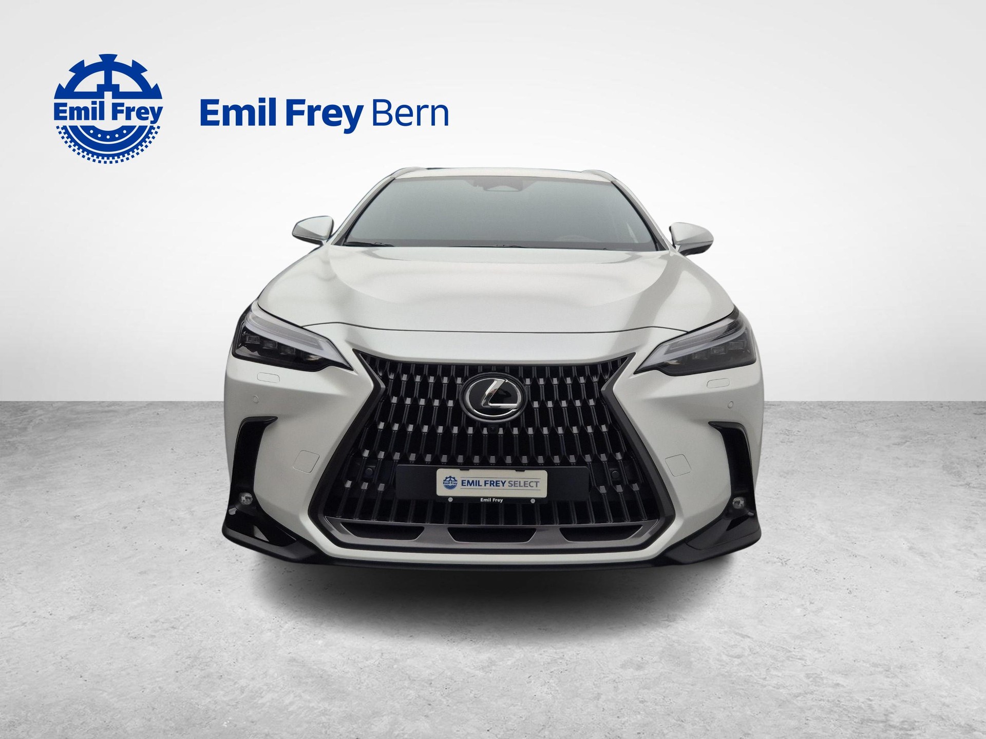 LEXUS NX 350h Excellence-image-10
