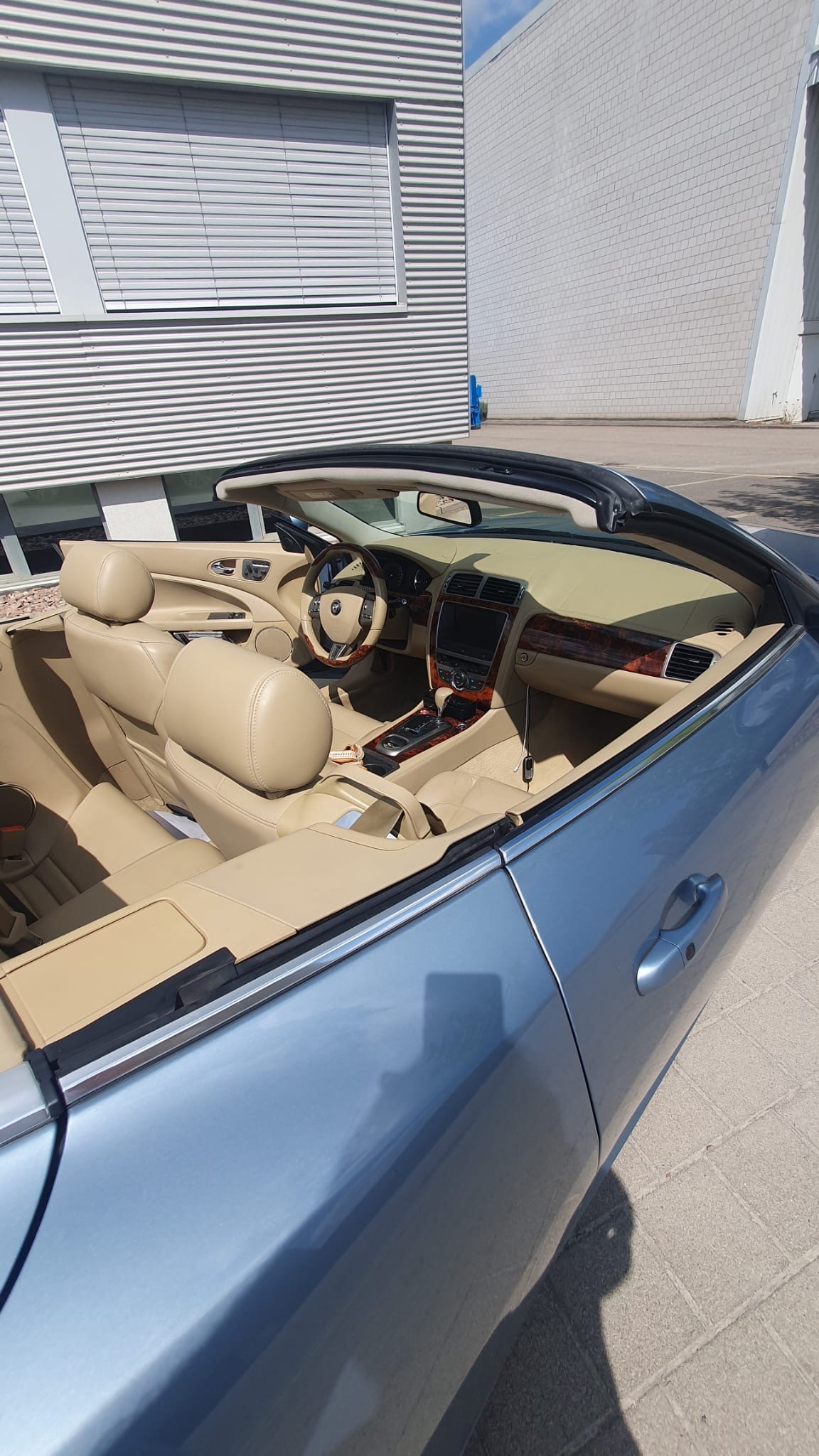 JAGUAR XK-image-3