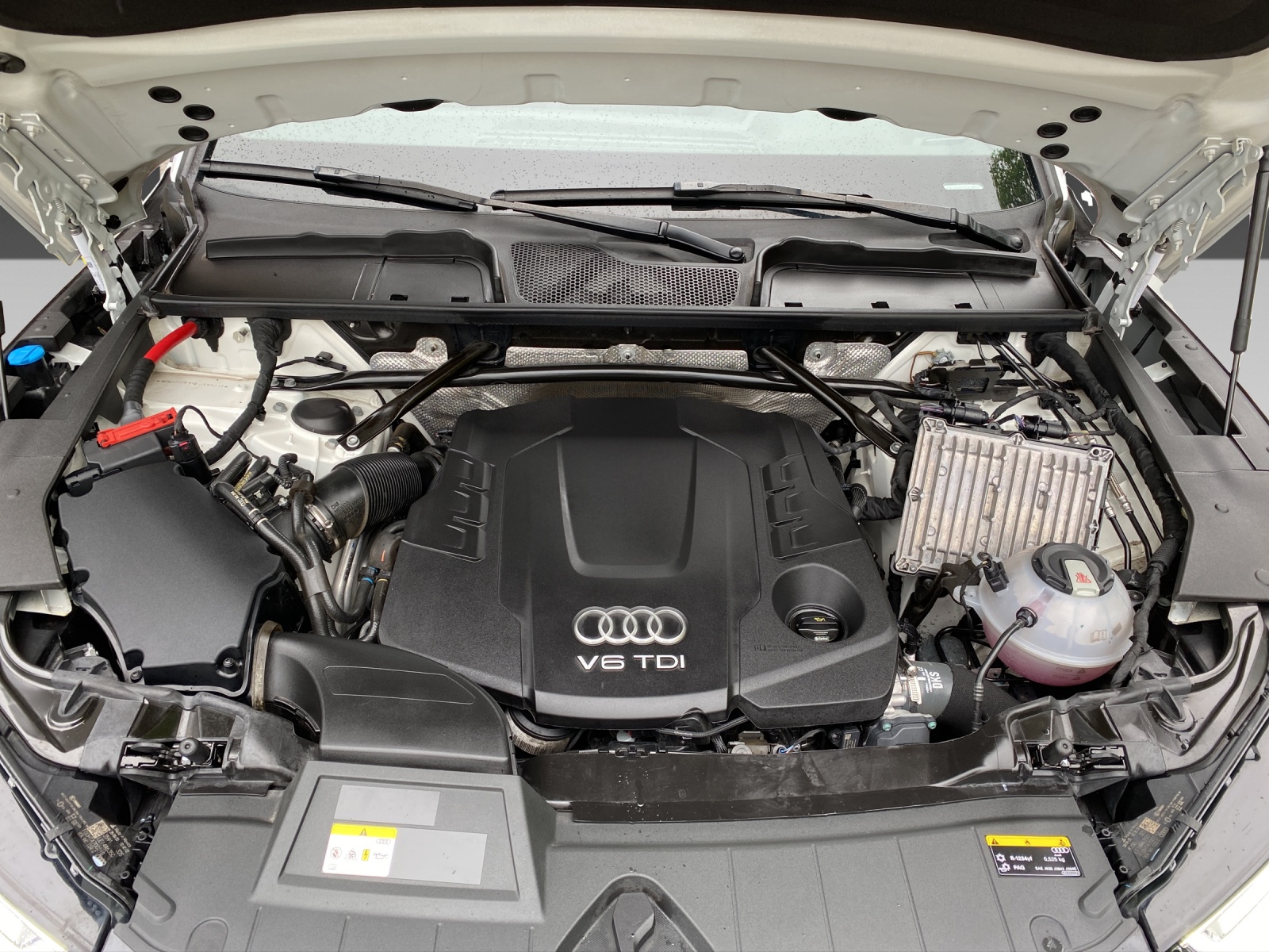 AUDI Q5 50 TDI sport quattro tiptronic-image-22