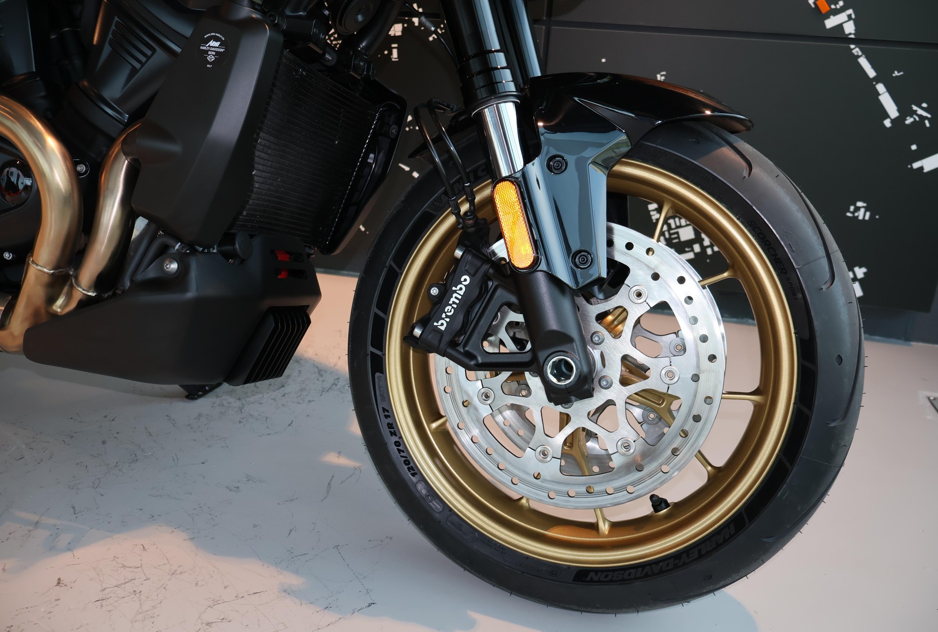 HARLEY-DAVIDSON RA1250ST-image-6