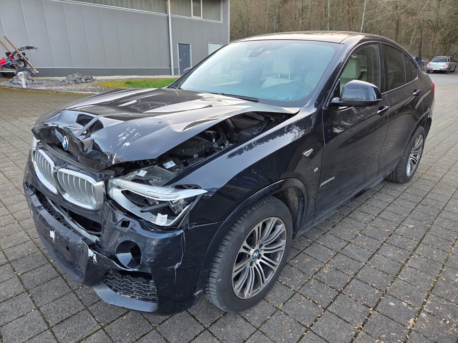 BMW X4 xDrive 30d xLine Steptronic-image-2
