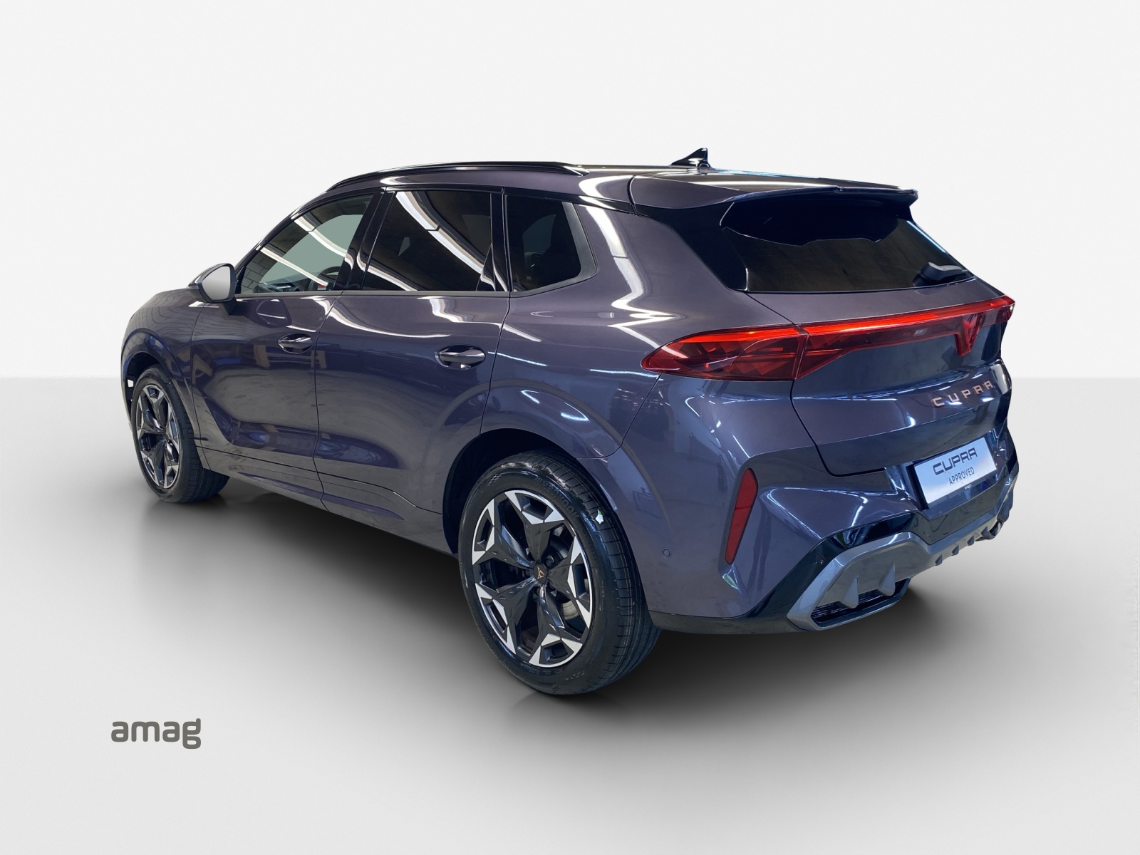 CUPRA Terramar 2.0 TSI DSG 4Drive VZ-image-2