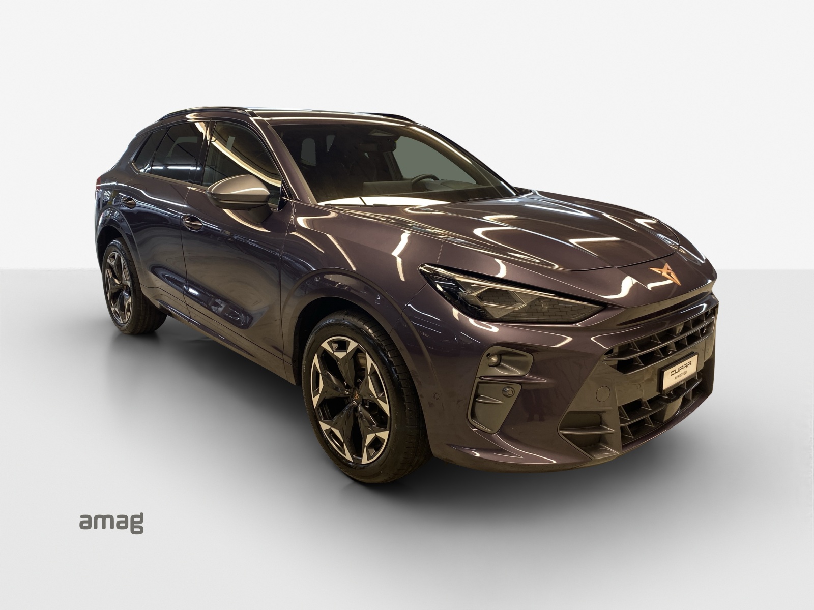 CUPRA Terramar 2.0 TSI DSG 4Drive VZ-image-5