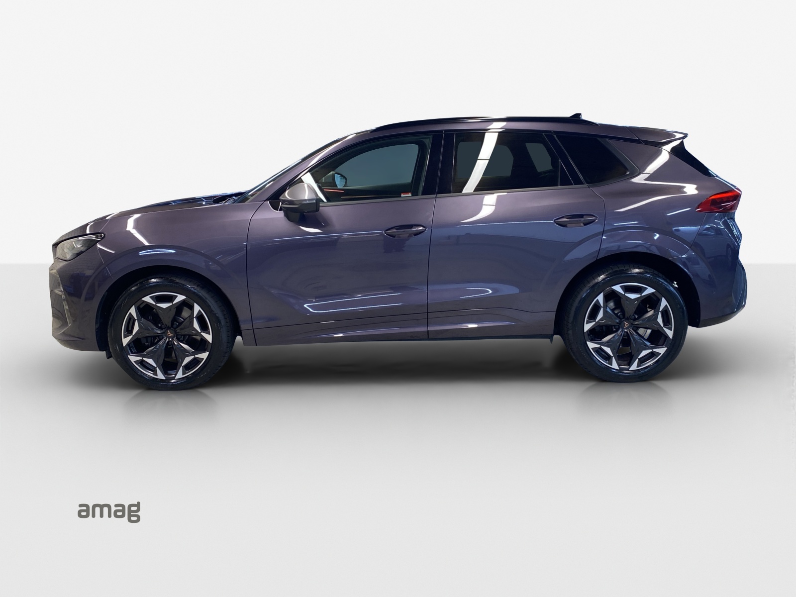 CUPRA Terramar 2.0 TSI DSG 4Drive VZ-image-1