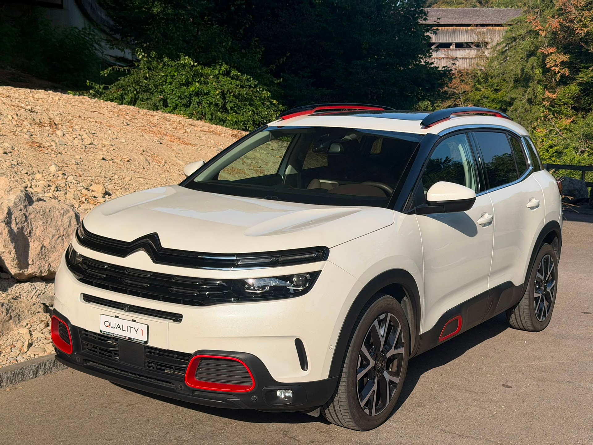 CITROEN C5 Aircross 1.6i PureTech Shine EAT8-image-0