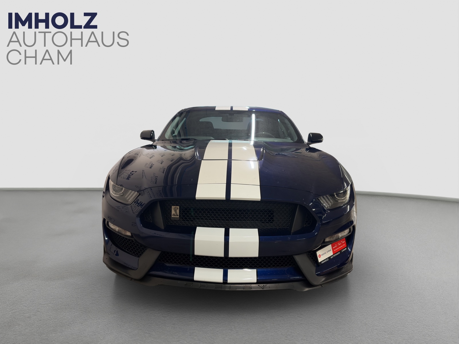 FORD Mustang Shelby 350 GT-image-4