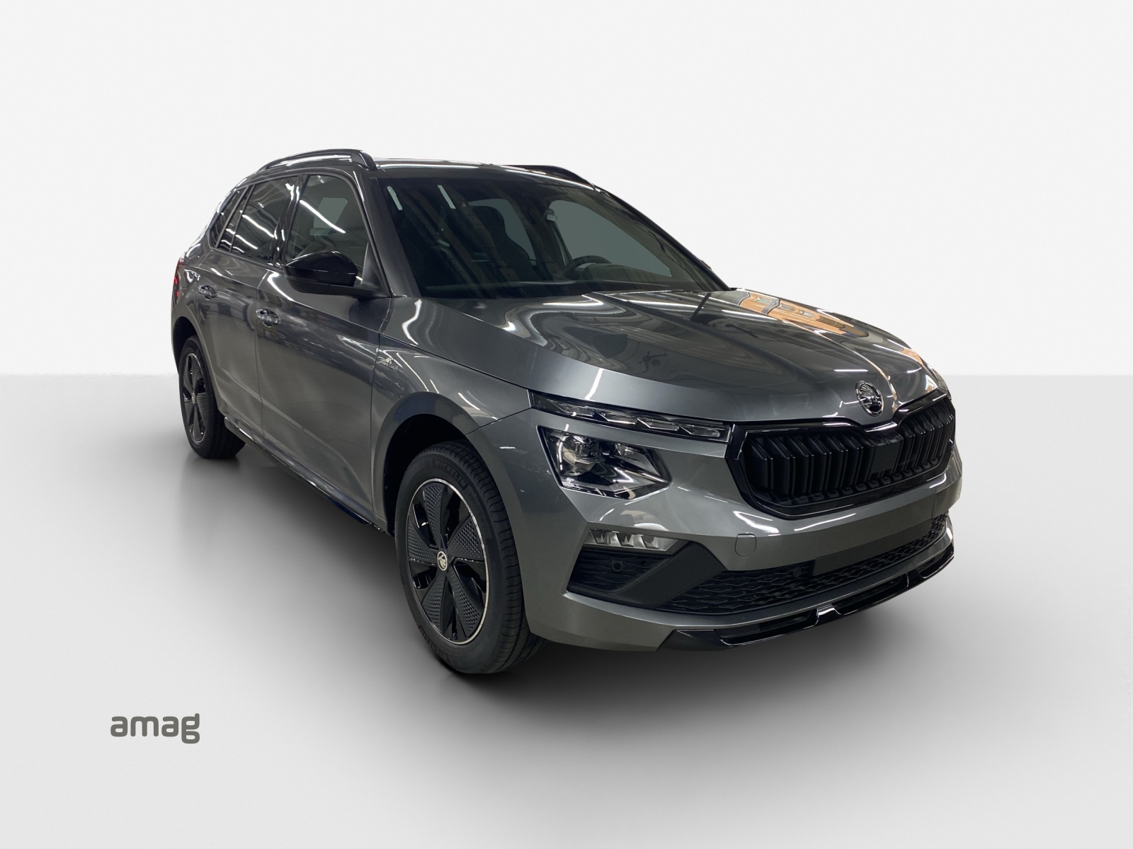 SKODA Kamiq 1.0 TSI Monte Carlo DSG-image-5