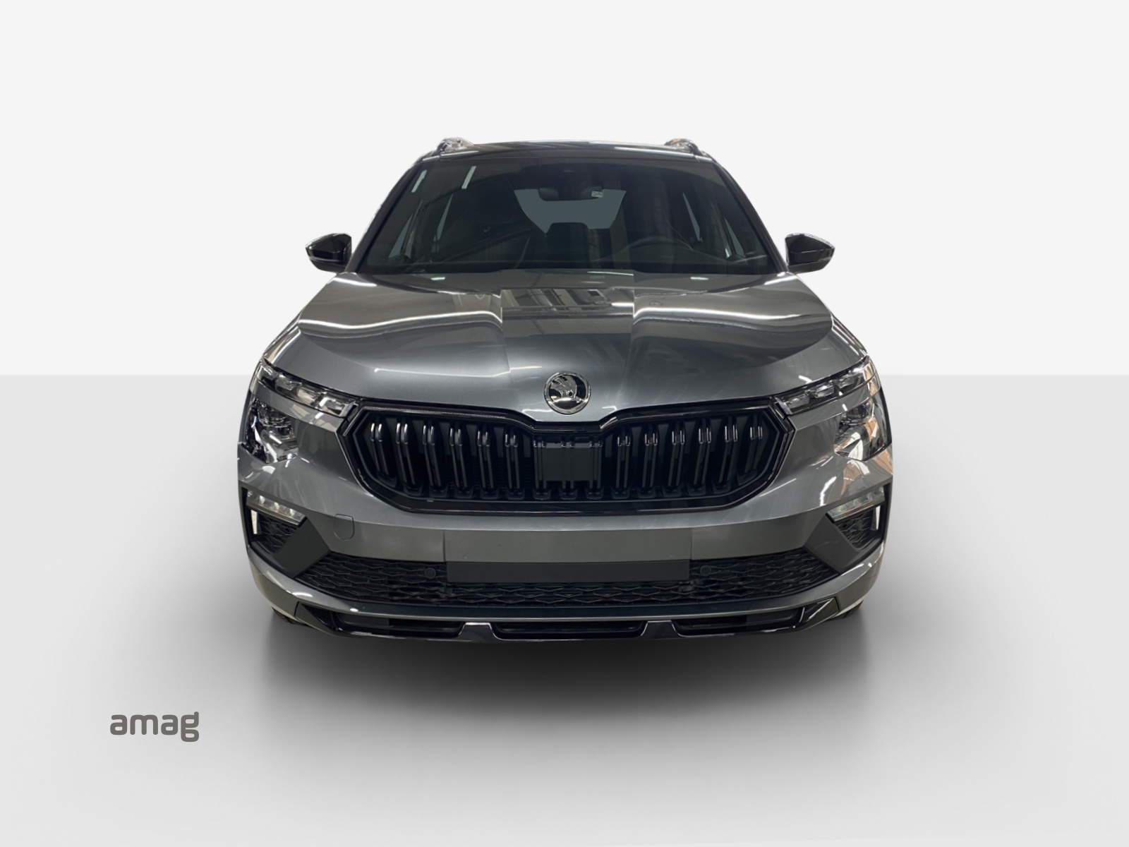 SKODA Kamiq 1.0 TSI Monte Carlo DSG-image-6