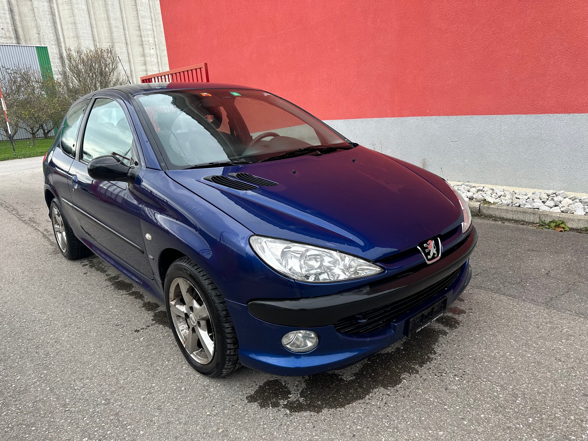 PEUGEOT 206 2.0 16V GTI-image-1