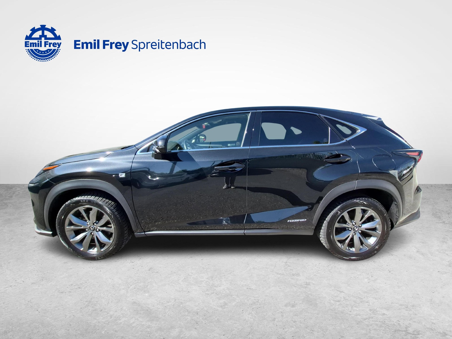 LEXUS NX 300h F-Sport-image-1