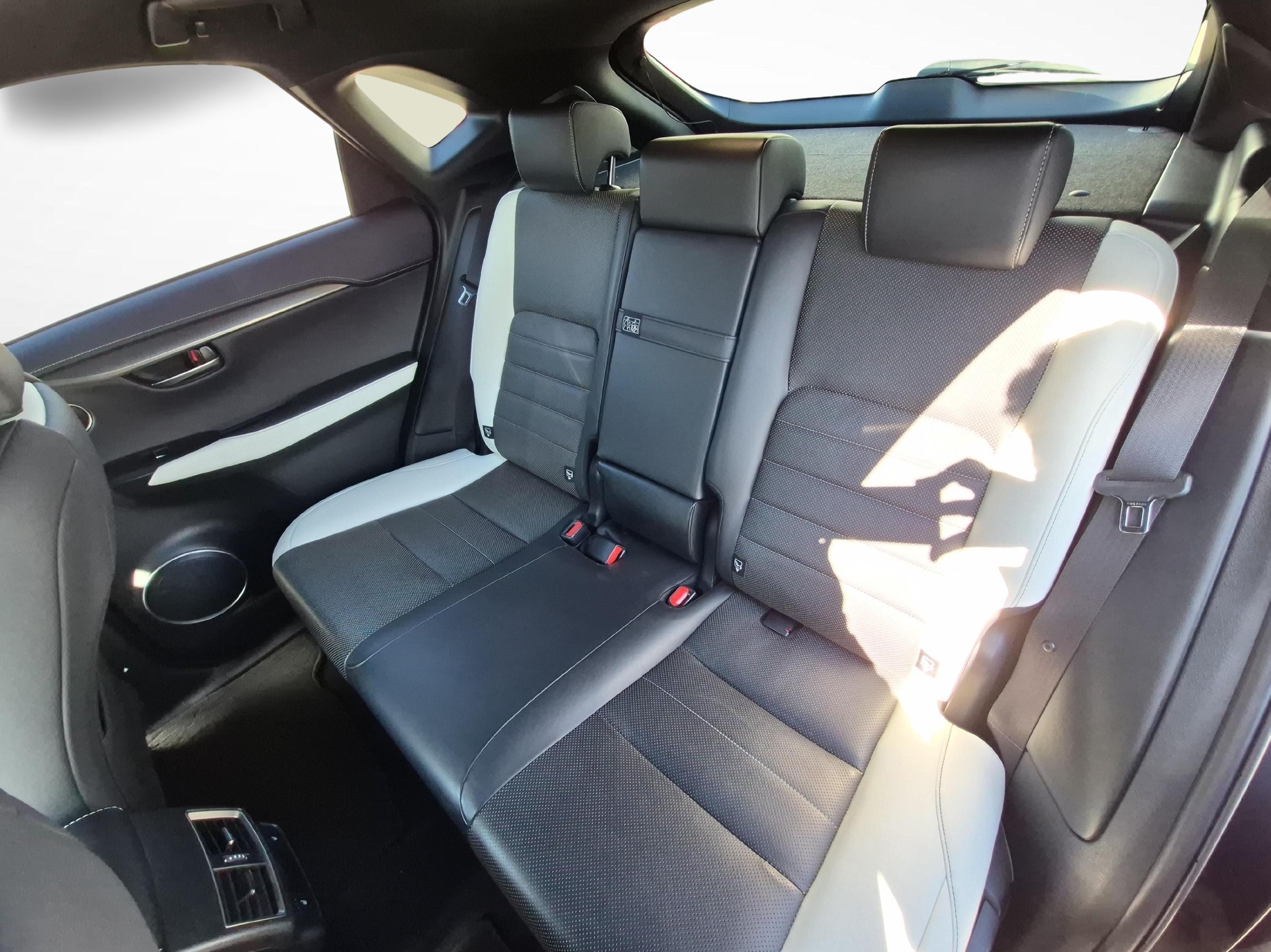 LEXUS NX 300h F-Sport-image-10