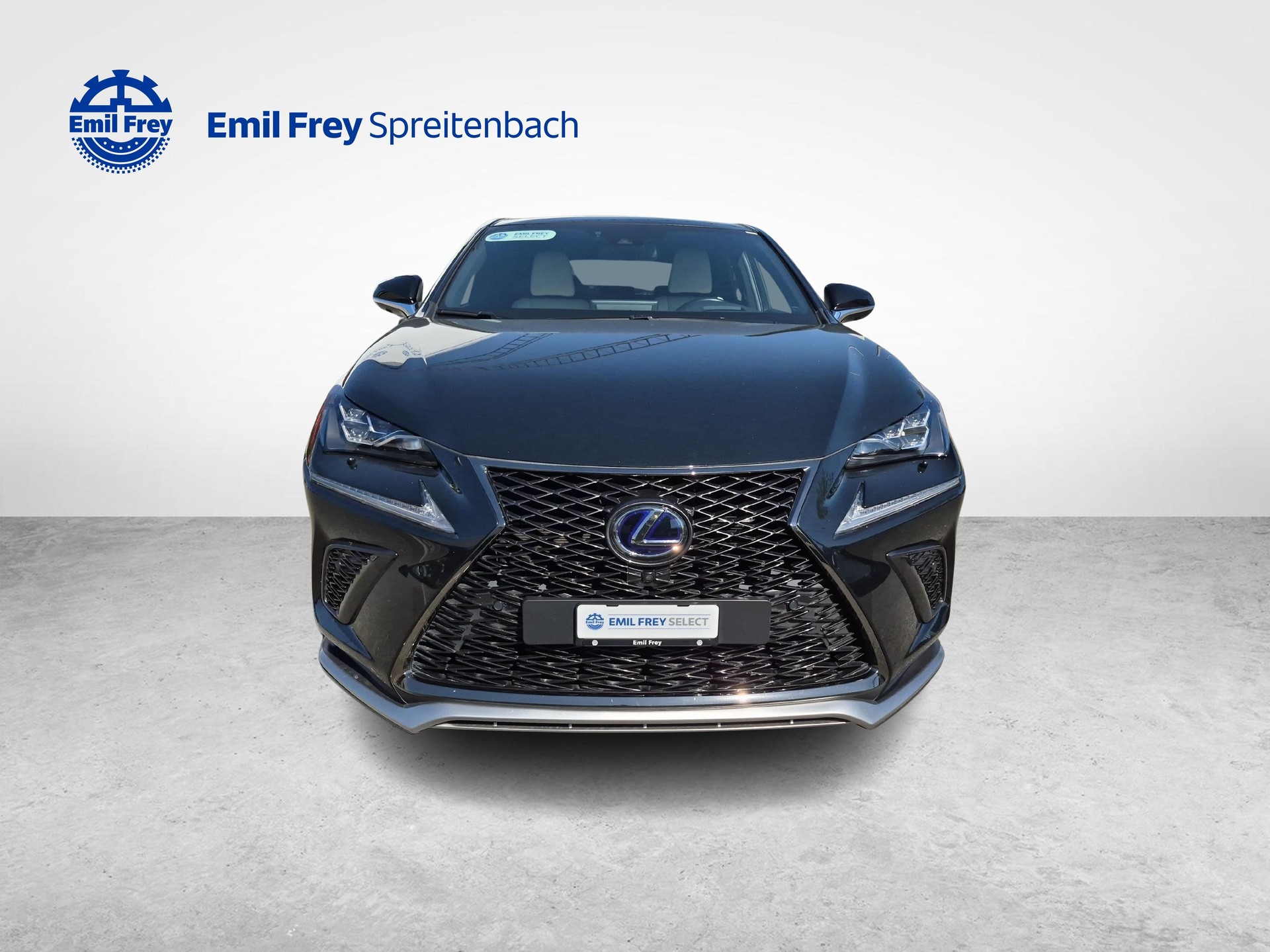 LEXUS NX 300h F-Sport-image-7