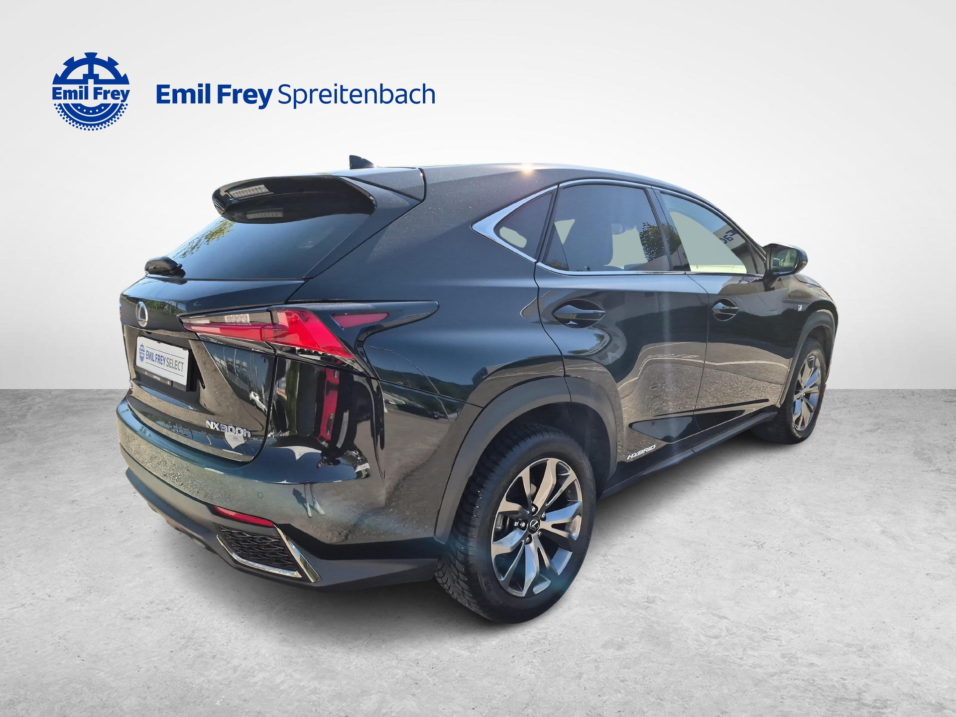 LEXUS NX 300h F-Sport-image-4