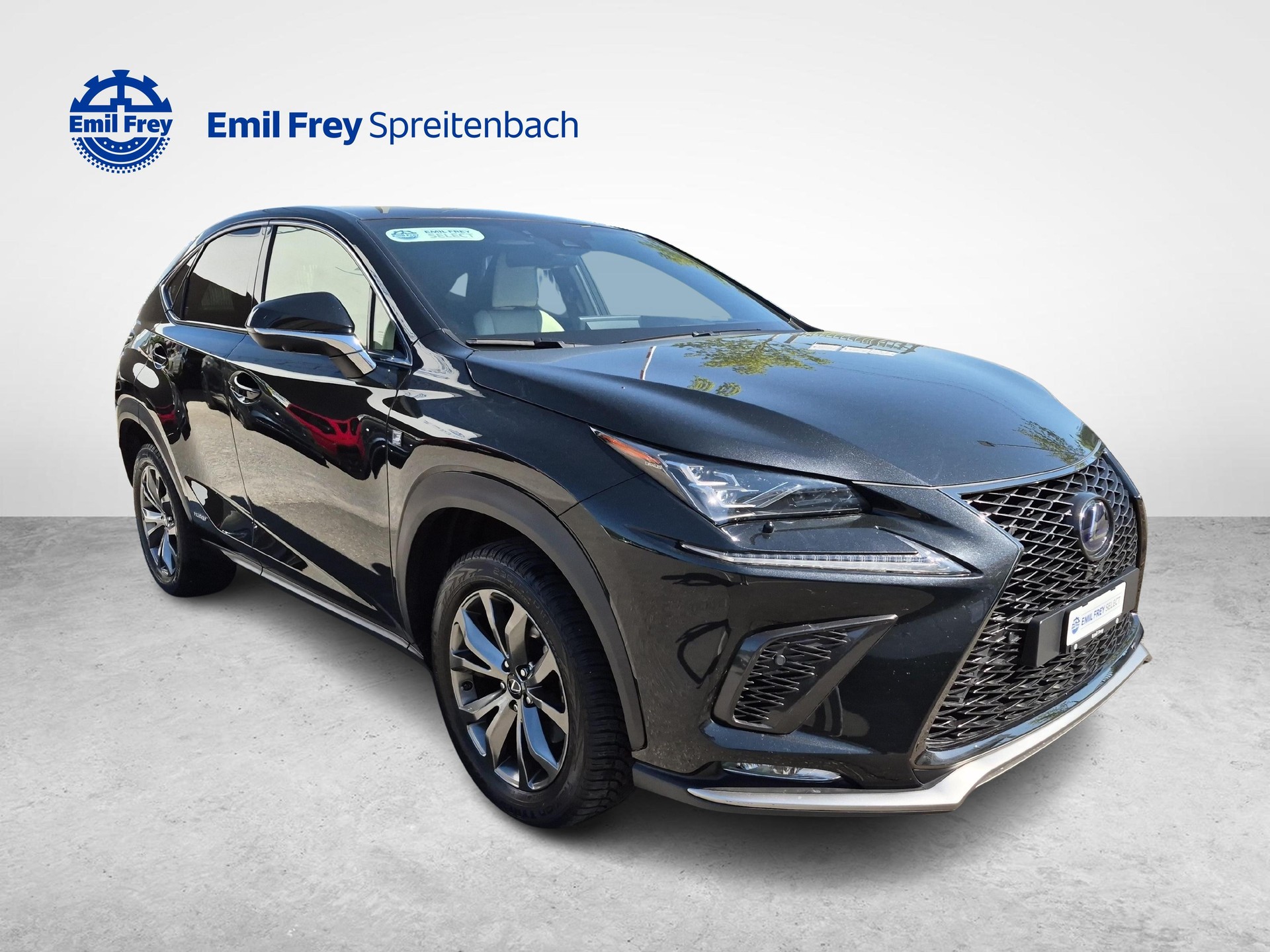 LEXUS NX 300h F-Sport-image-6