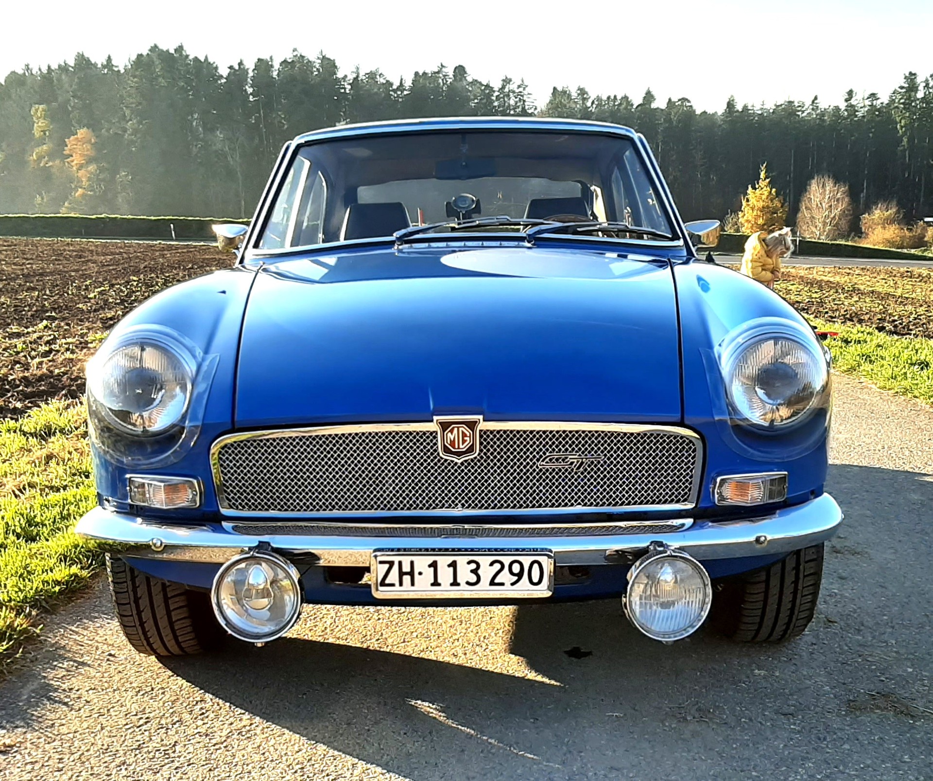 MG GT-image-0
