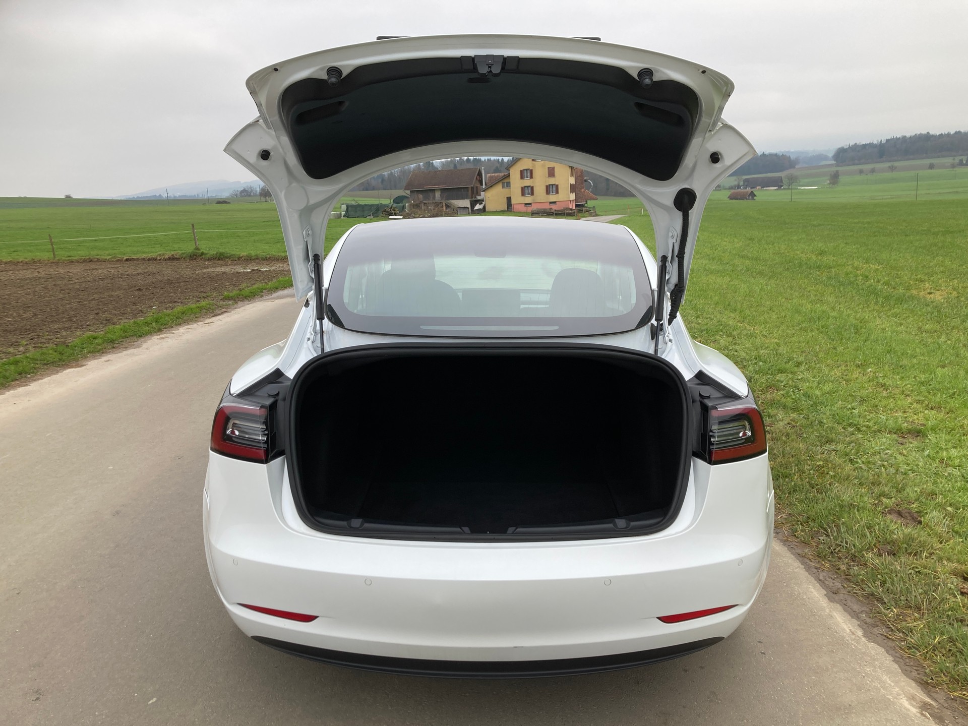TESLA Model 3-image-5