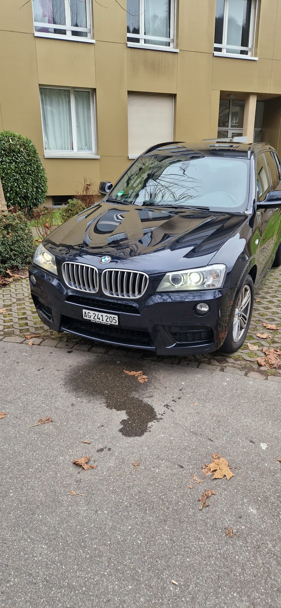 BMW X3 xDrive 30d Steptronic MFK Neu-image-0