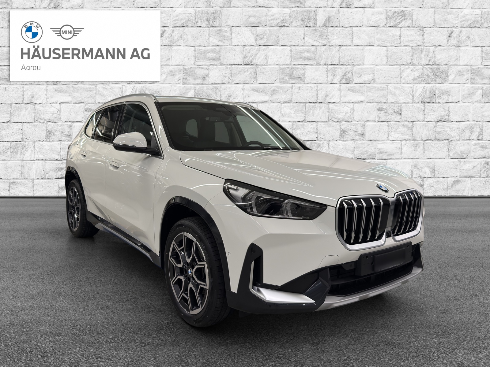 BMW X1 xDrive 20d 48V xLine-image-2