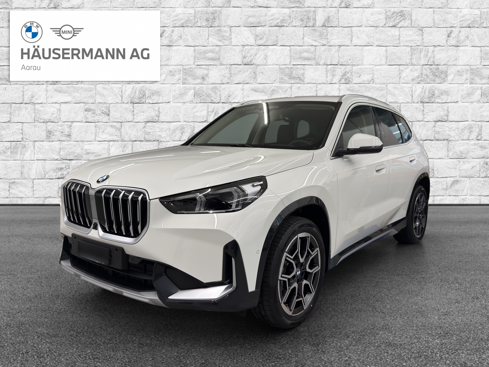 BMW X1 xDrive 20d 48V xLine-image-0
