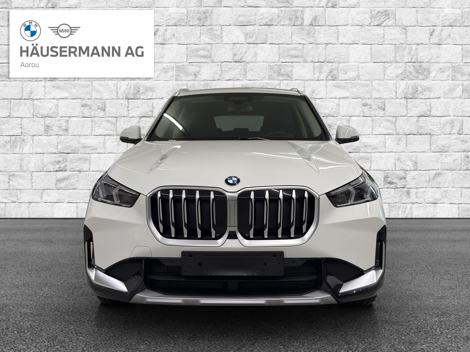 BMW X1 xDrive 20d 48V xLine-image-1