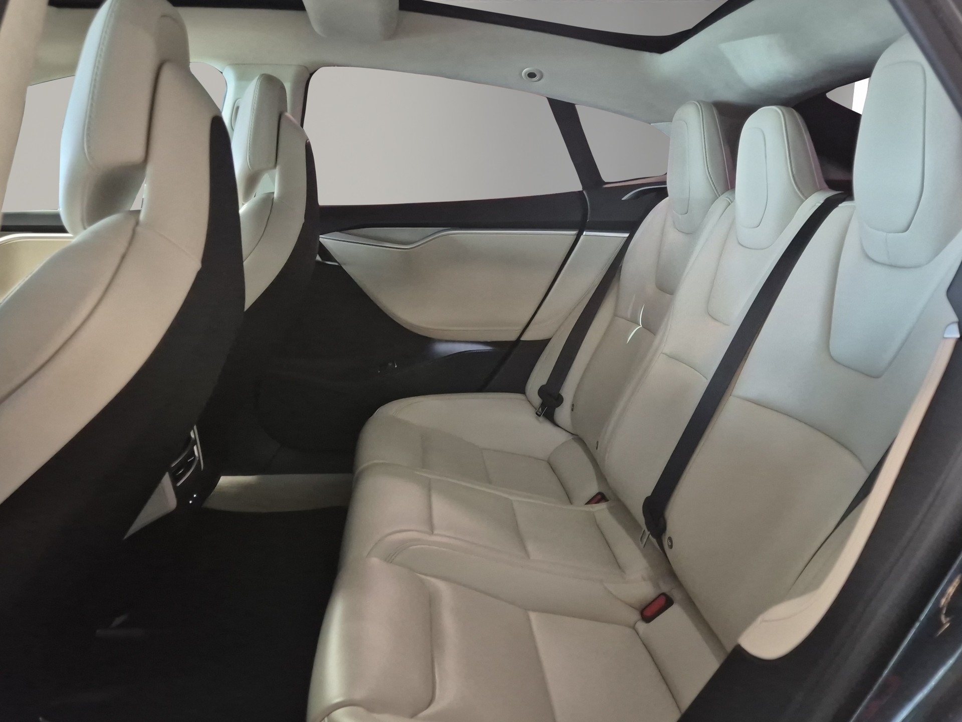 TESLA Model S 100 D Performance-image-12