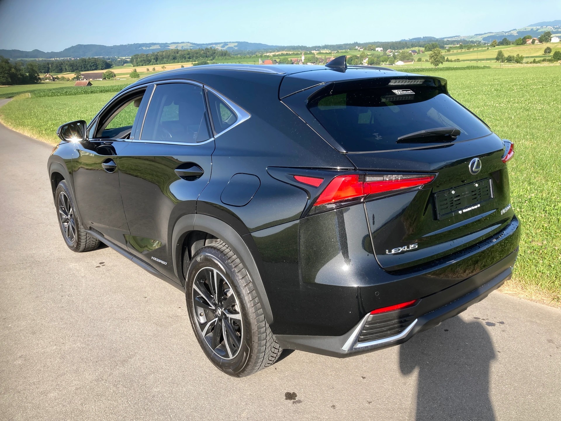 LEXUS NX 300h Celebrating 30 E-Four Automatic-image-3