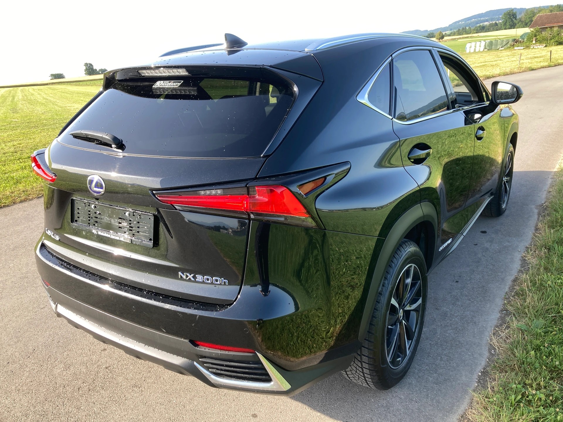 LEXUS NX 300h Celebrating 30 E-Four Automatic-image-2
