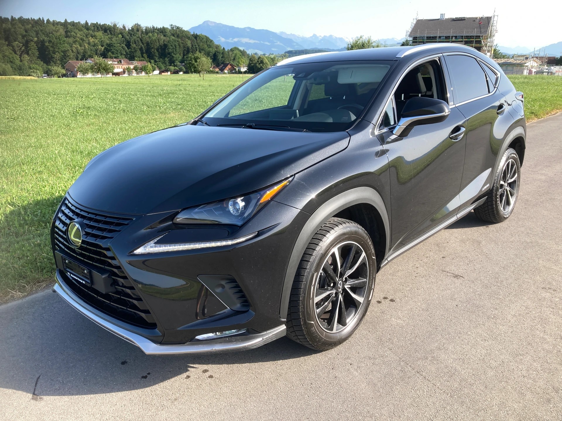 LEXUS NX 300h Celebrating 30 E-Four Automatic-image-0