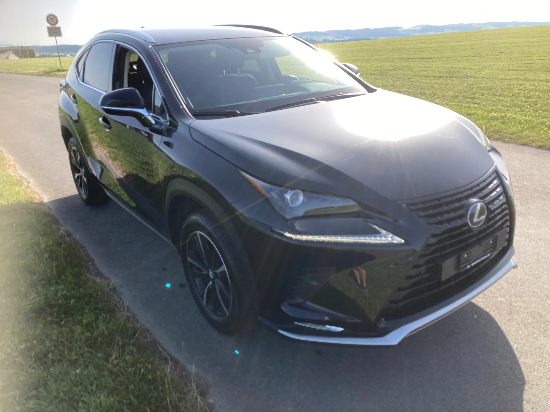 LEXUS NX 300h Celebrating 30 E-Four Automatic-image-1