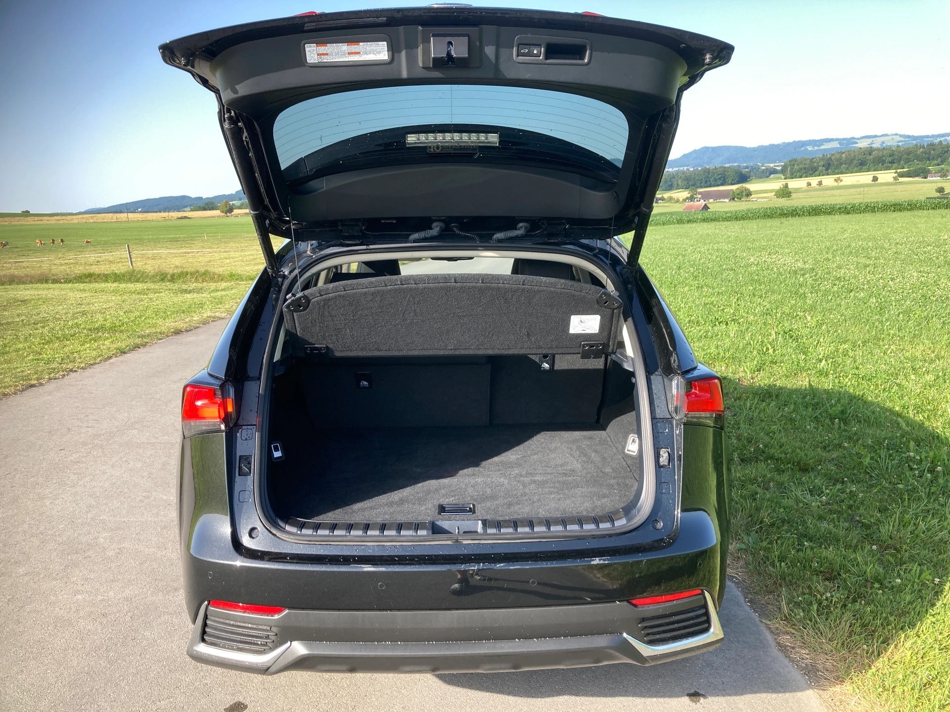LEXUS NX 300h Celebrating 30 E-Four Automatic-image-5