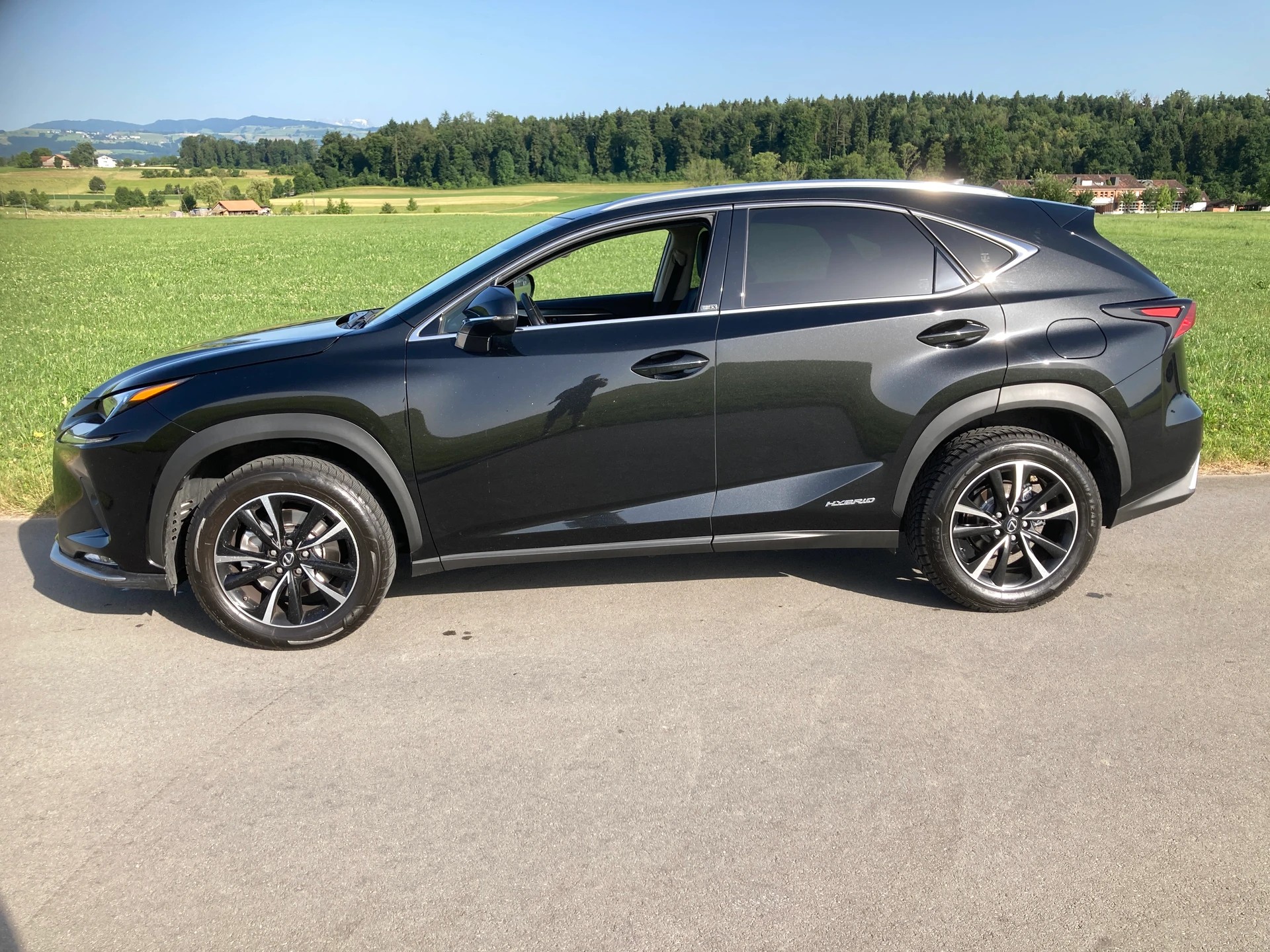 LEXUS NX 300h Celebrating 30 E-Four Automatic-image-4