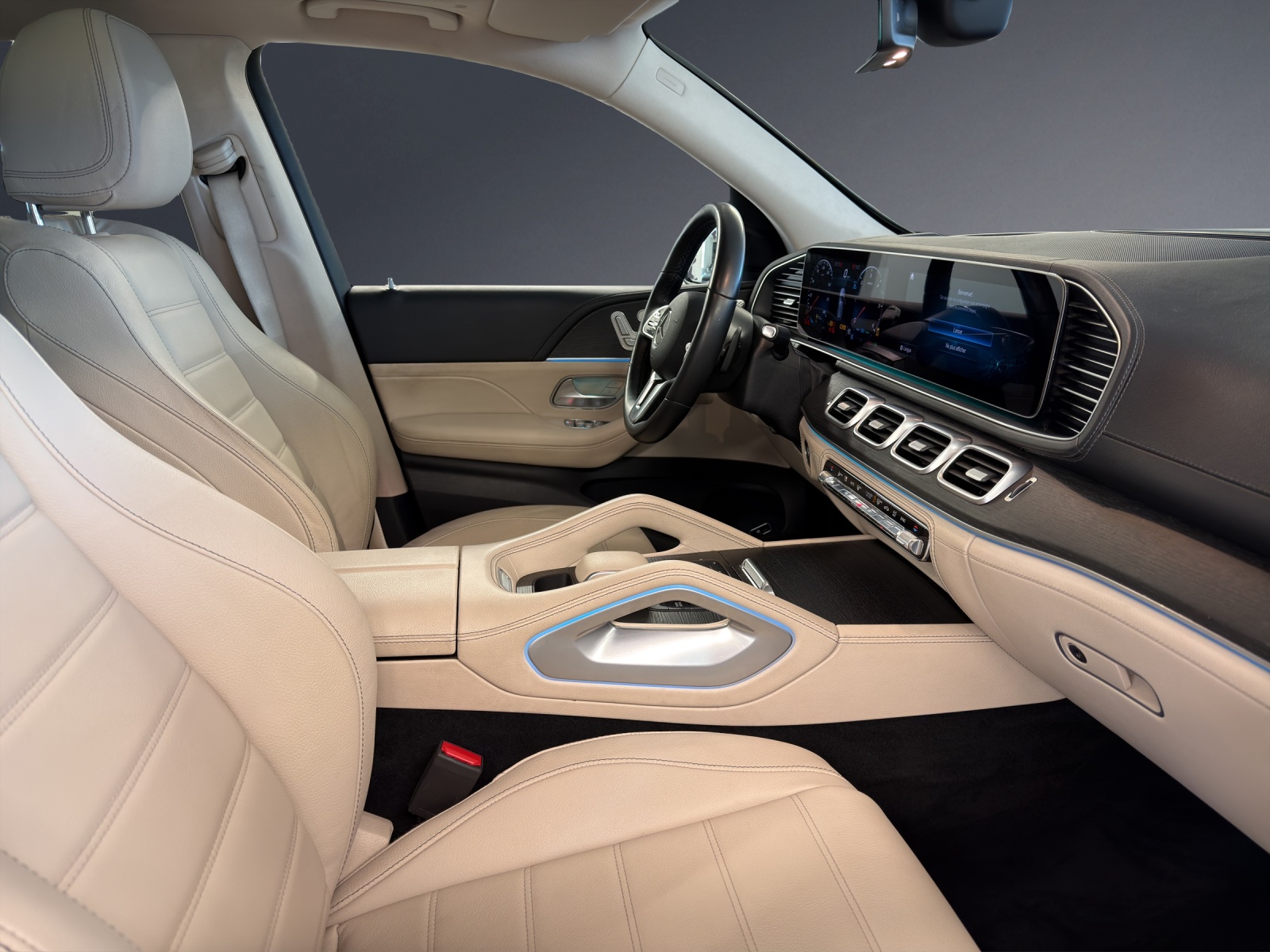 MERCEDES-BENZ GLE 300 d 4Matic-image-9