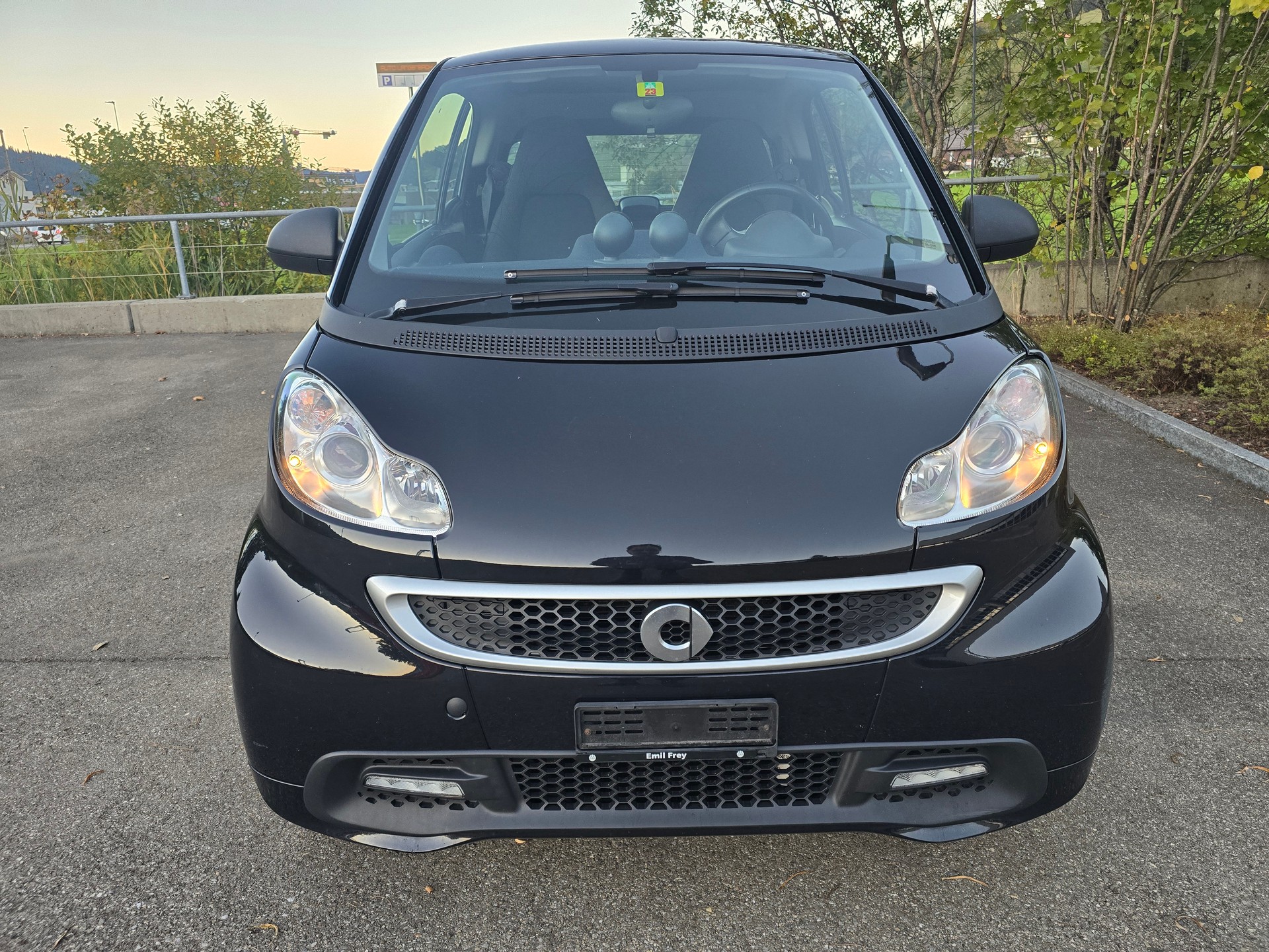 SMART fortwo electric drive (incl. battery)-image-0