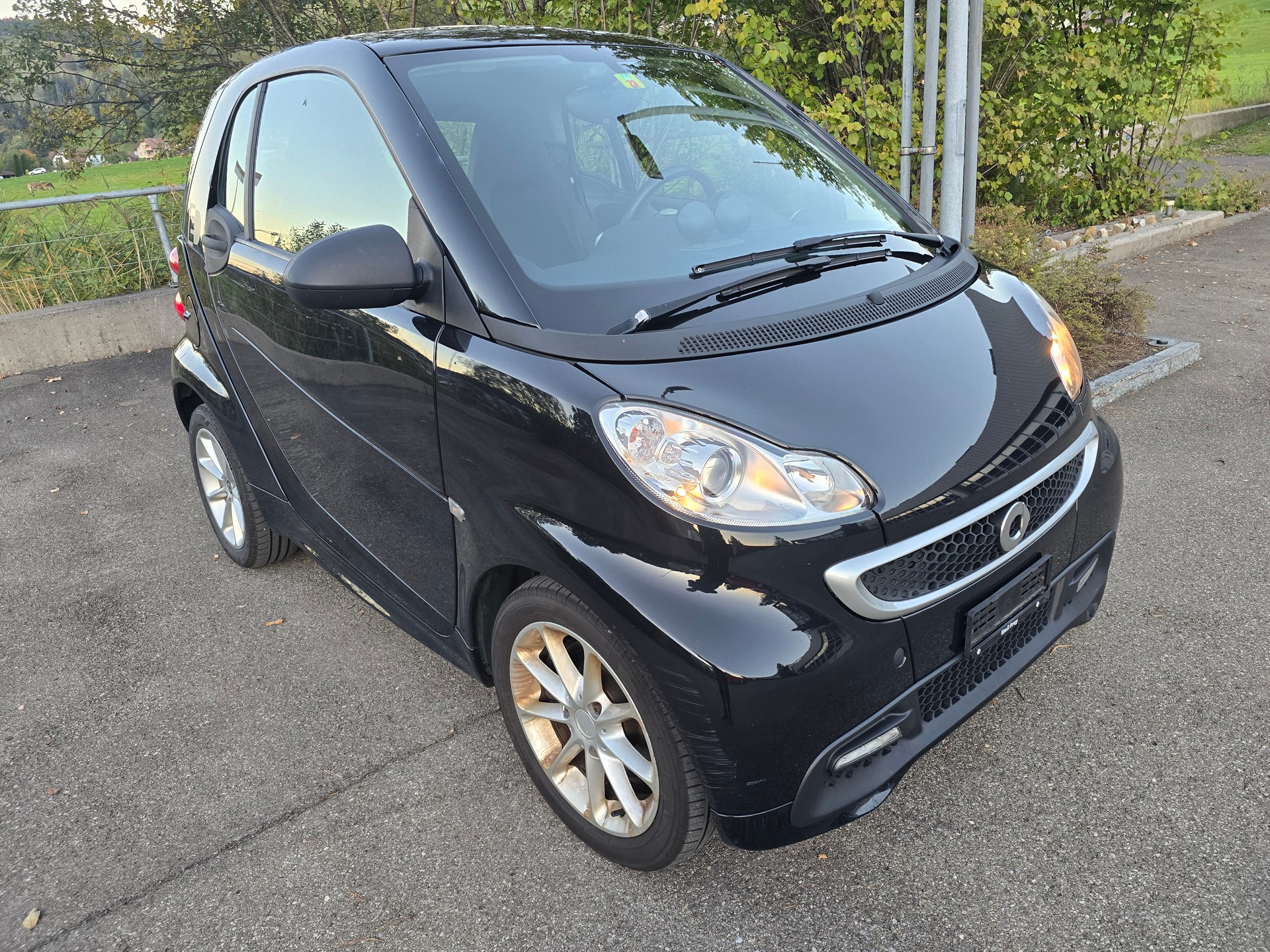 SMART fortwo electric drive (incl. battery)-image-2